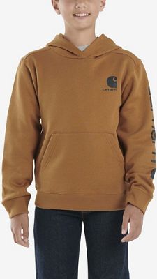 Carhartt Boys Graphic LS Sweatshirt