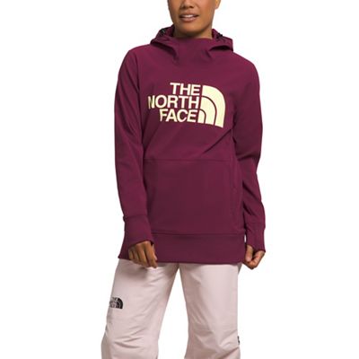 The North Face Women's Tekno Pullover Hoodie