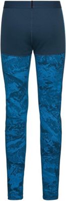Indigo Bunting / Blue Wing Teal
