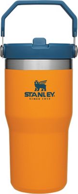 Stanley IceFlow™ Stainless Steel Flip Straw Tumbler, 20 oz