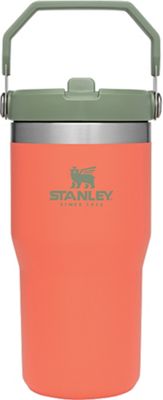 Stanley Classic Flip Straw Insulated Stainless Steel Tumbler, 20 oz 