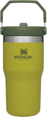 Stanley Classic Flip Straw Insulated Stainless Steel Tumbler, 20