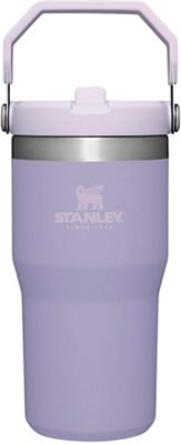 Stanley Classic IceFlow Stainless Steel Flip Straw Jug, 20 oz