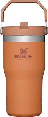 Stanley IceFlow™ Stainless Steel Flip Straw Tumbler, 20 oz
