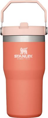 Stanley Classic IceFlow Stainless Steel Flip Straw Jug, 20 oz - Baker's