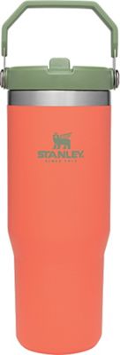 Stanley 30 Oz. IceFlow Tumbler with Flip Straw