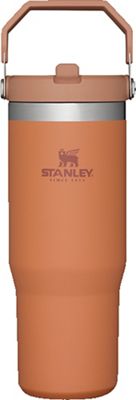  Stanley IceFlow Flip Straw Tumbler - 30 oz. 166949-30