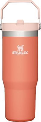 Stanley IceFlow Flip Straw Tumbler | 30 oz, Fog