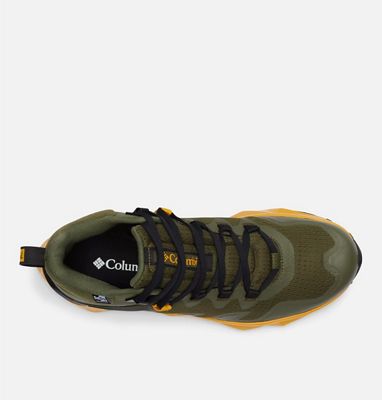 Nori / Golden Yellow