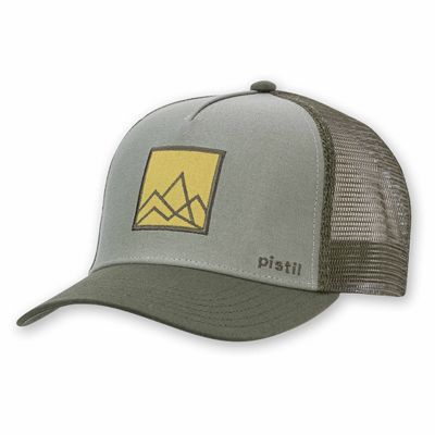 Pistil Men's Crag Cap