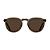 Ghost / Vibrant Brown Polarized