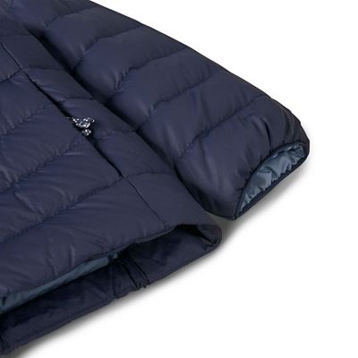 New Navy
