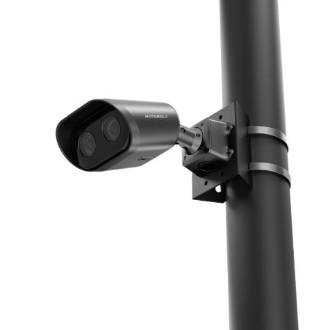 L6D on pole