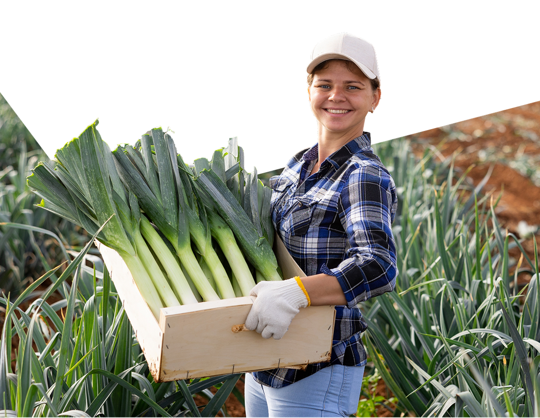 Photo of a farmer working in a field, happy that she’s chosen National Bank’s solutions for agri-food businesses