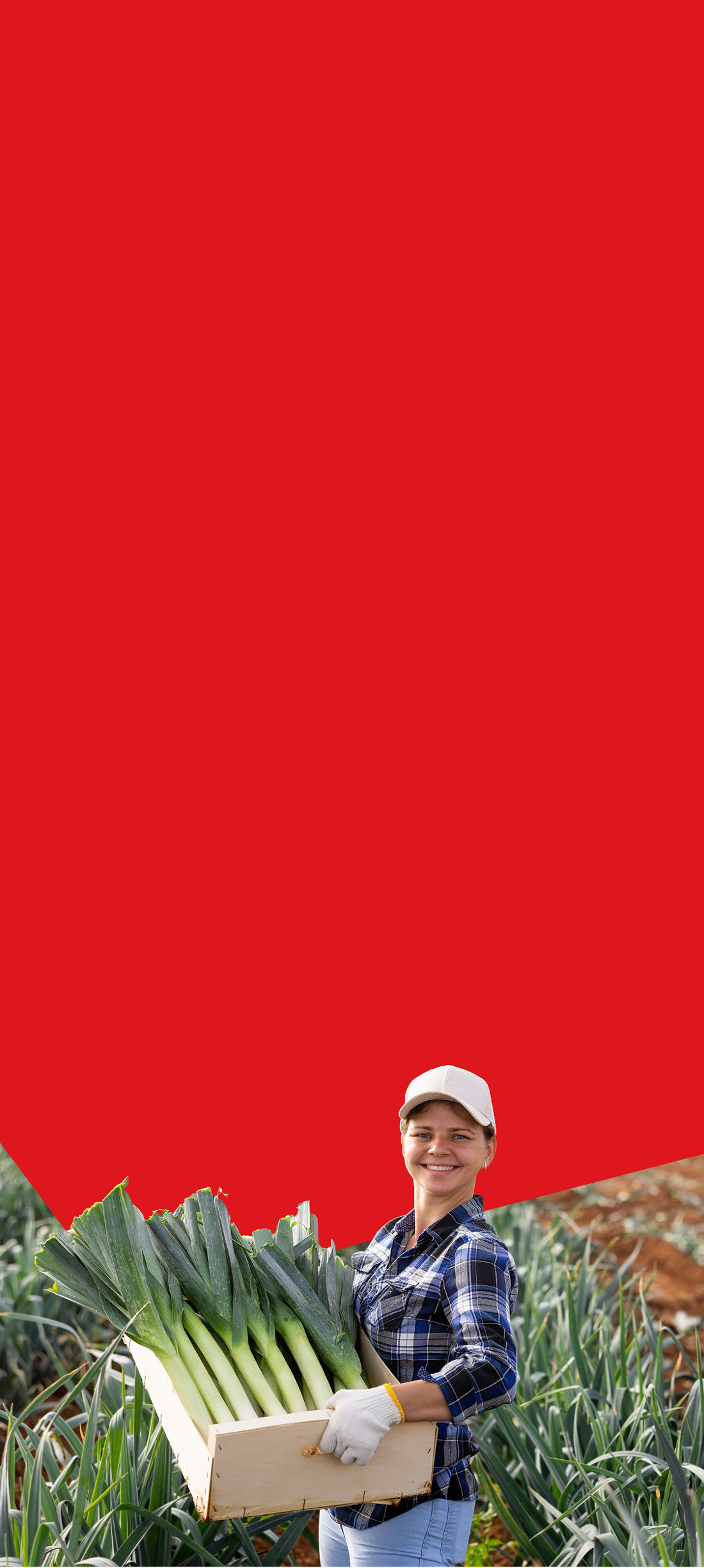 Photo d’une agricultrice, dans son champ, heureuse de pouvoir profiter des solutions pour solutions pour entreprises agroalimentaires de la Banque Nationale