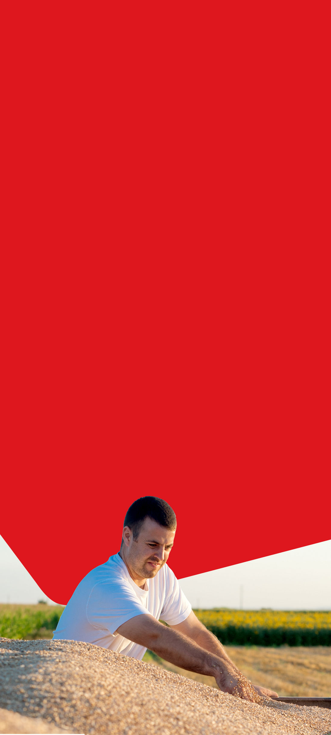 Photo of a farmer who managed his risk with swaps on agricultural commodities products, emptying his grain trailer 