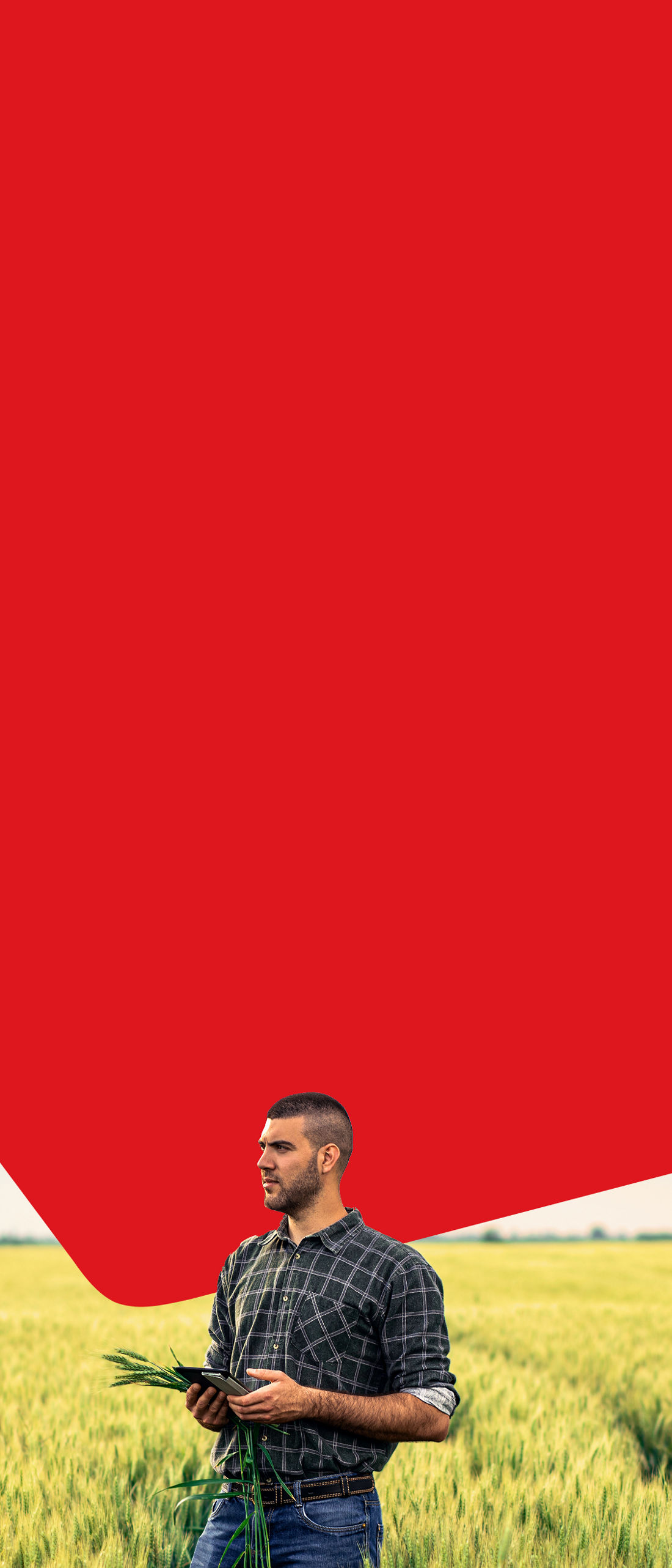 Photo of an agricultural producer in his field who chose National Bank agricultural commodity swaps 