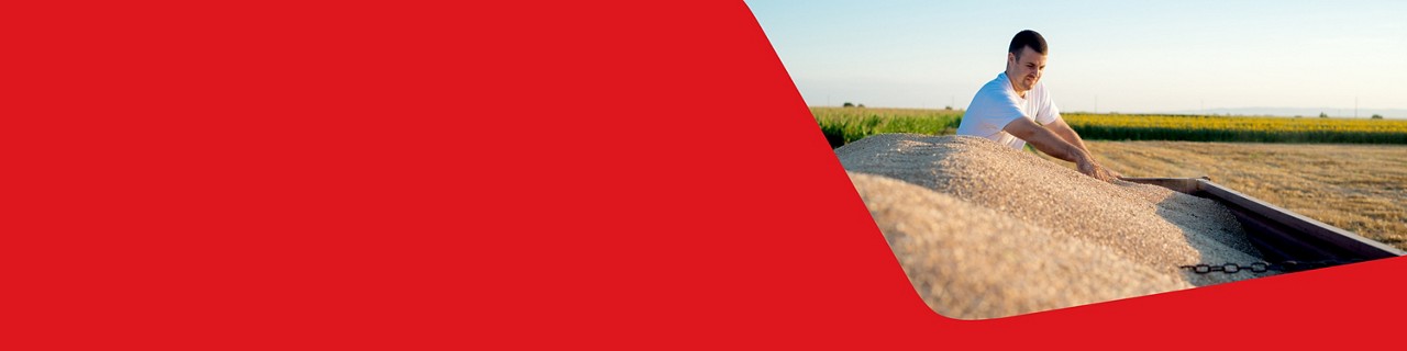 Photo of a farmer who managed his risk with swaps on agricultural commodities products, emptying his grain trailer 