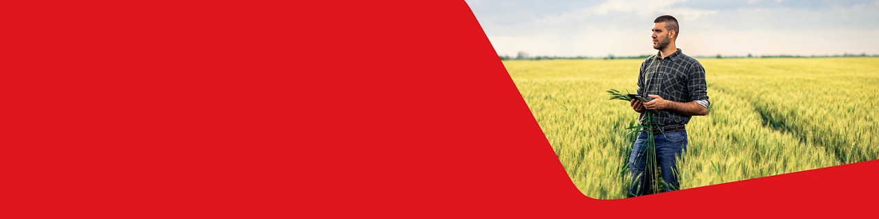 Photo of an agricultural producer in his field who chose National Bank agricultural commodity swaps 