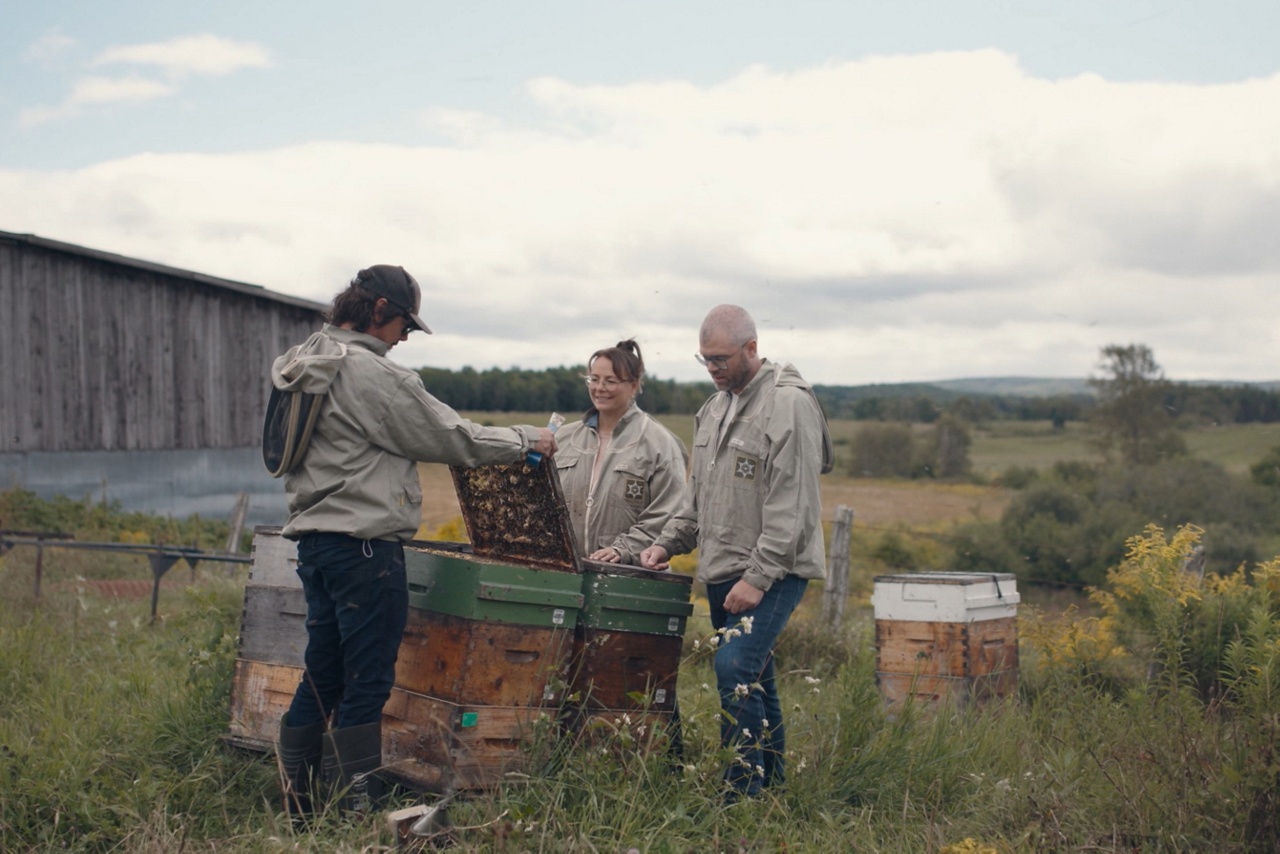 La cédante de l’entreprise Miels D'Anicet manipulant des ruches d’abeilles. 