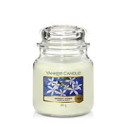 Midnight Jasmine Candle