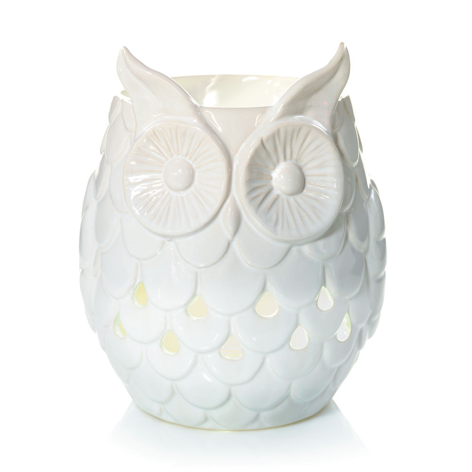 owl with LED and timer garden party