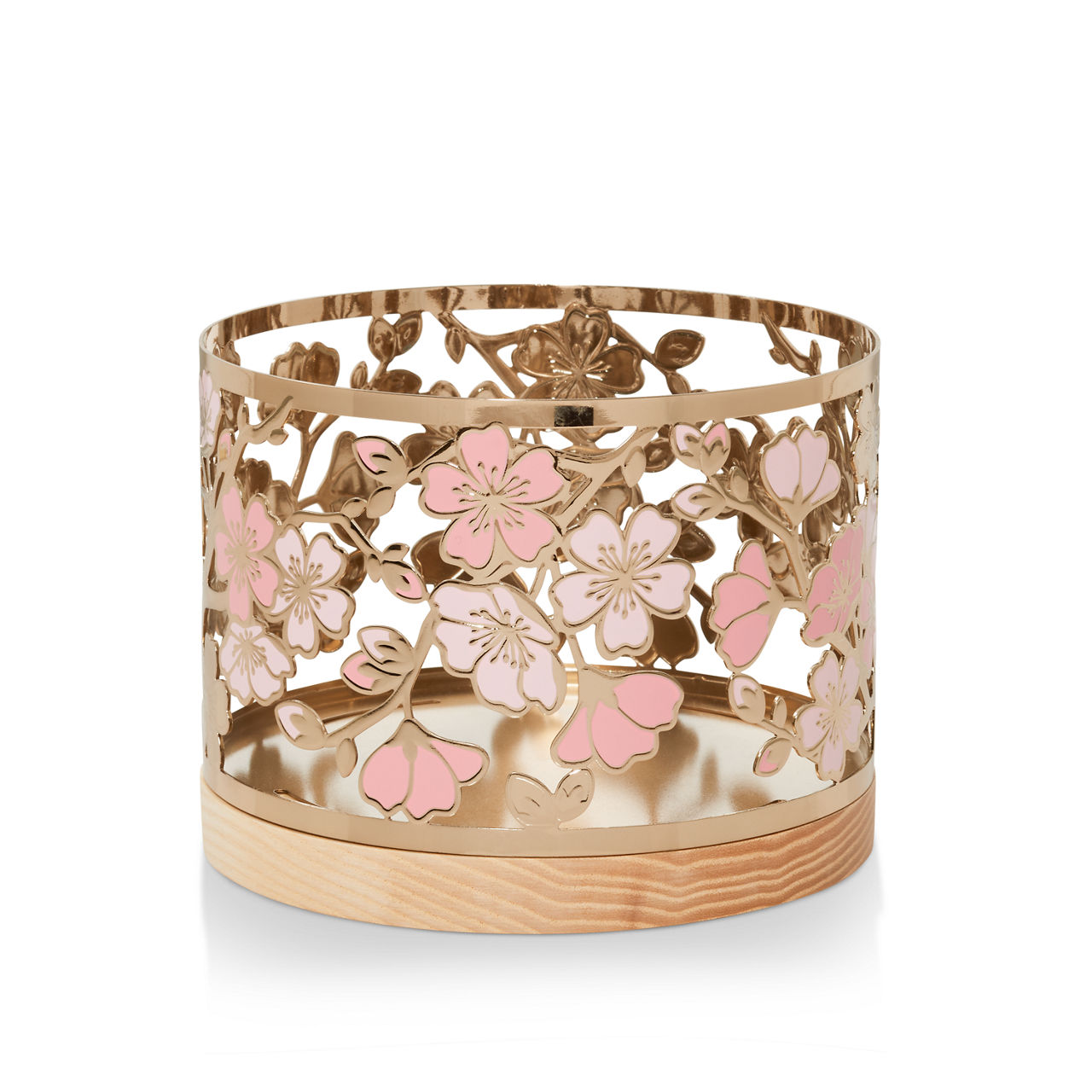 Cherry Blossoms