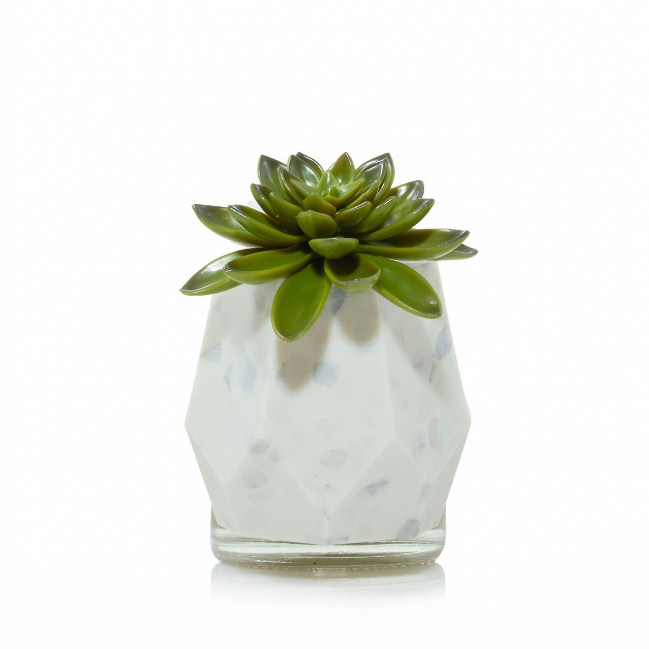 Faceted Succulent ScentPlug® Diffuser w/ Light