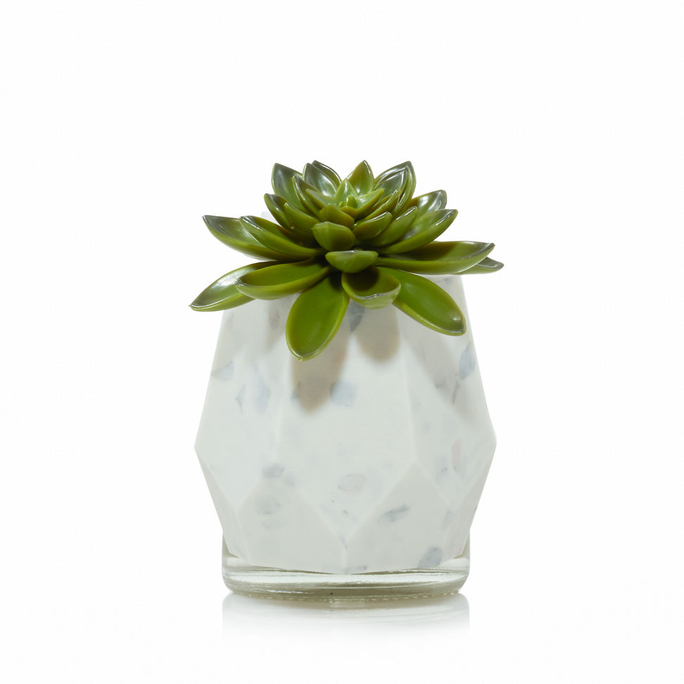 Faceted Succulent