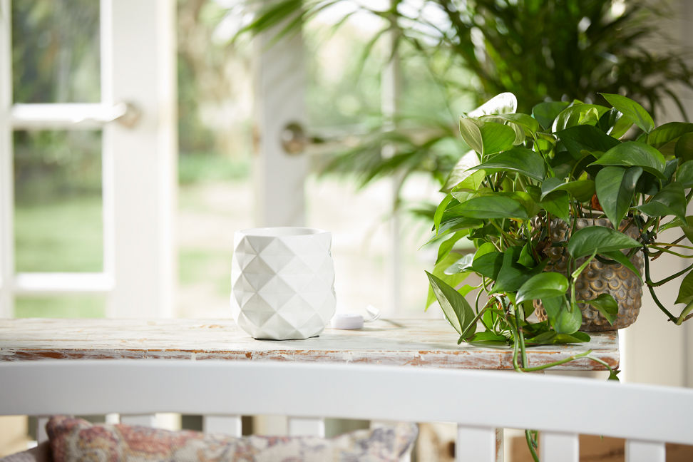 langham collection white with timer scenterpiece wax warmer on table