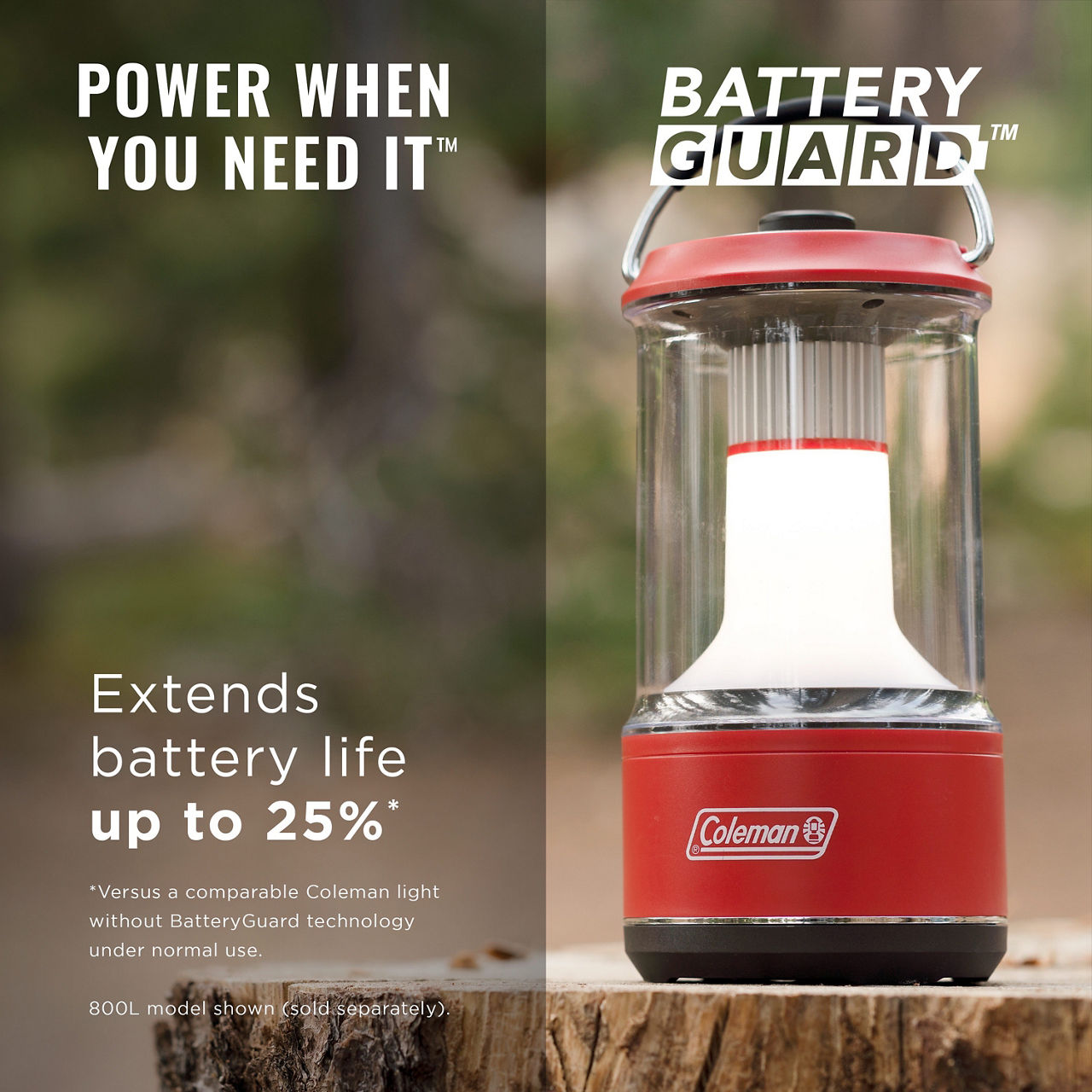 1000 Lumens LED Lantern with BatteryGuard™, Green | Coleman