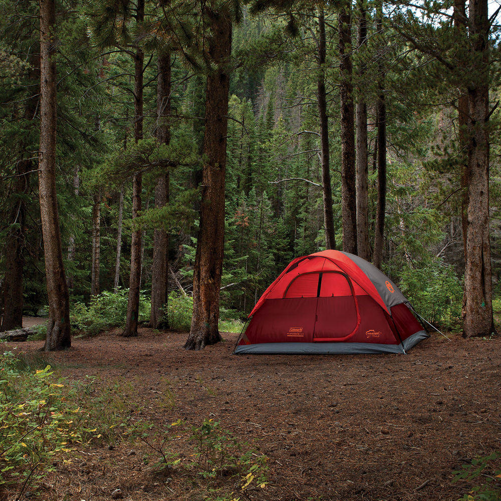 4-Person Flatwoods II™ Lightweight Dome Camping Tent | Coleman