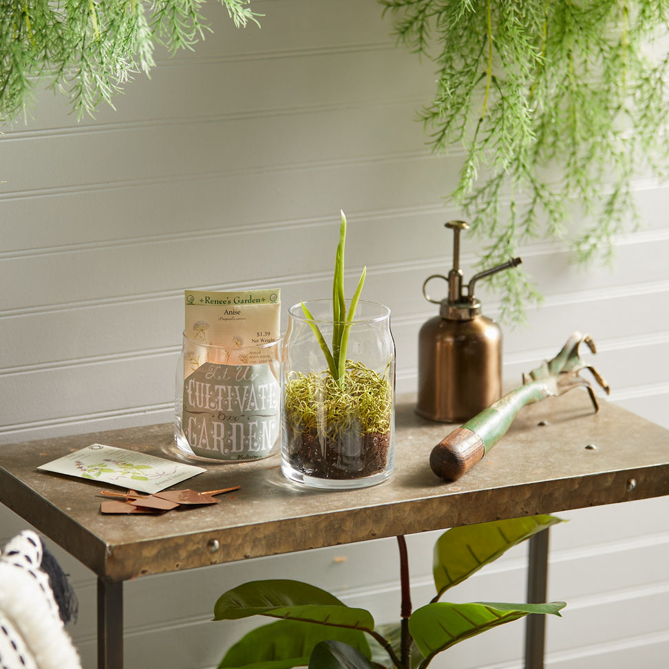 outdoor yard setting with large planter on table