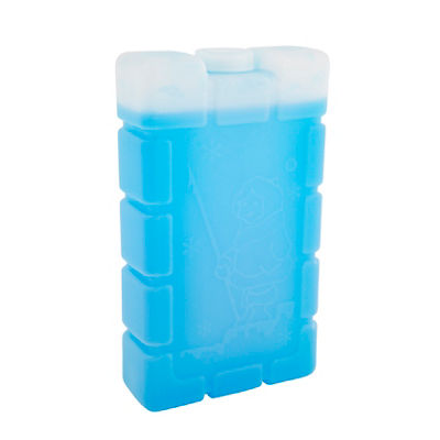 Esky Medium Ice Brick