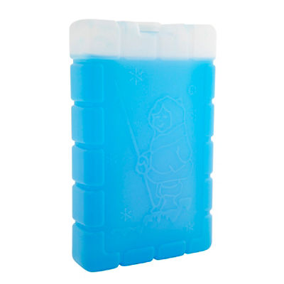 Esky Large Ice Brick