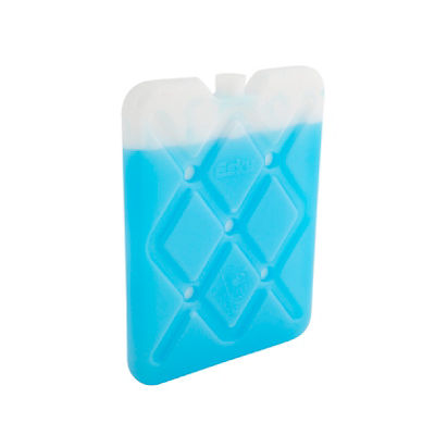 Esky Small Slim Ice Brick