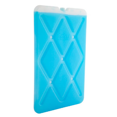 Esky Large Slim Ice Brick