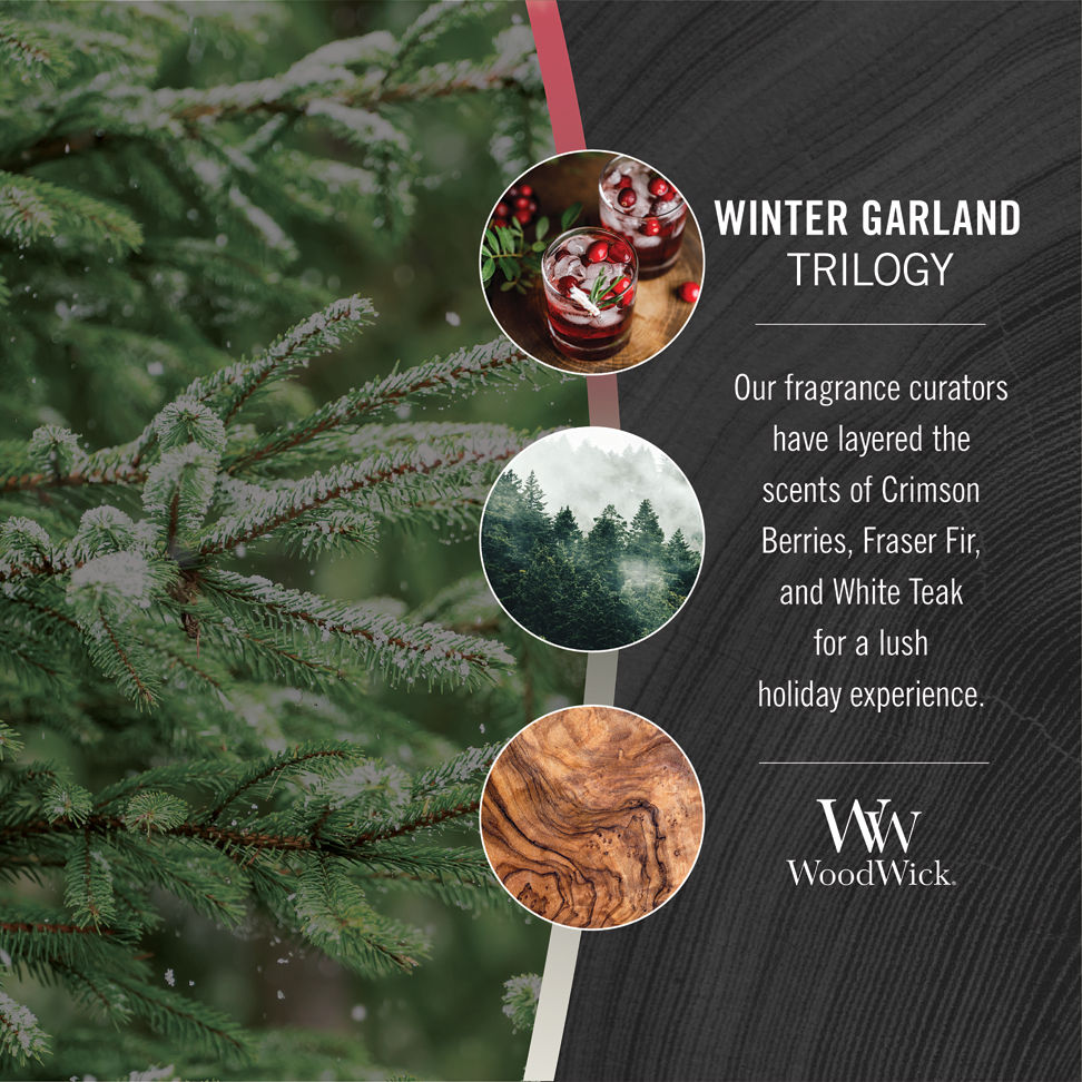 photo collage illustrating woodwick winter garland trilogy fragrances of crimson berries, frasier fir, and white teak