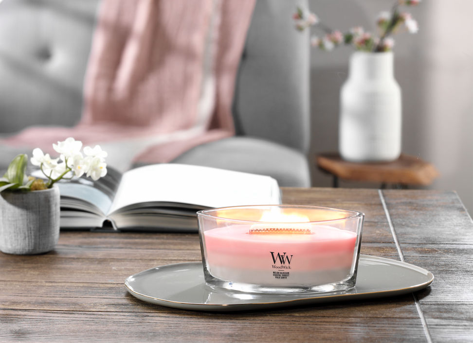 melon blossom and coastal sunset and palo santo ellipse trilogy candle on tray
