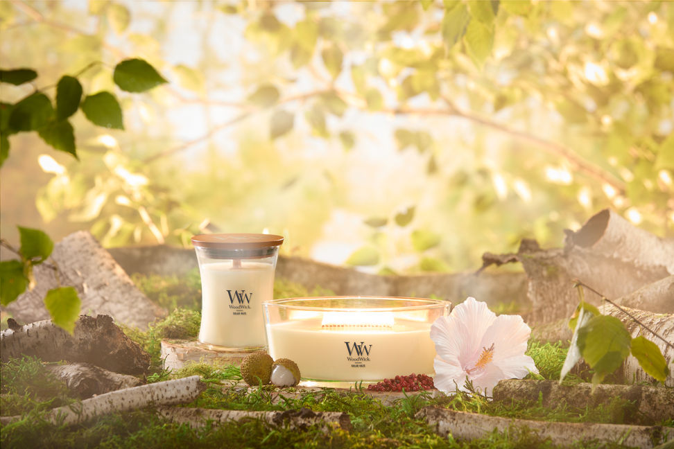 WoodWick Vapour Trails Collection Solar Haze Medium Hourglass Candle and Solar Haze Ellipse Candle on tree stumps surrounded by trees, tree branches, a flower, and fruit