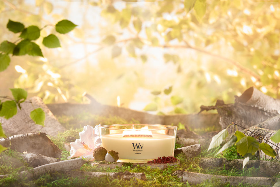 WoodWick Vapour Trails Collection Solar Haze Ellipse Candle on a tree stump with a flower and fruit surrounded by tree branches in a forest setting