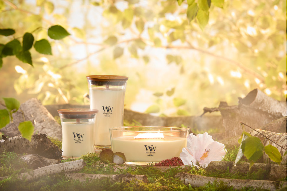 WoodWick Vapour Trails Collection Solar Haze Medium Hourglass Candle, Solar Haze Large Hourglass Candle, and Solar Haze Ellipse Candle on tree stumps with a flower and fruit surrounded by tree branches and moss