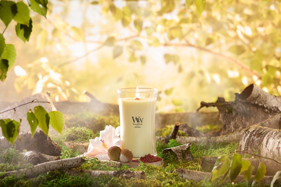 WoodWick Vapour Trails Collection Solar Haze Large Hourglass Candle on a tree stump with a flower and fruit surrounded by tree branches and moss in a forest setting