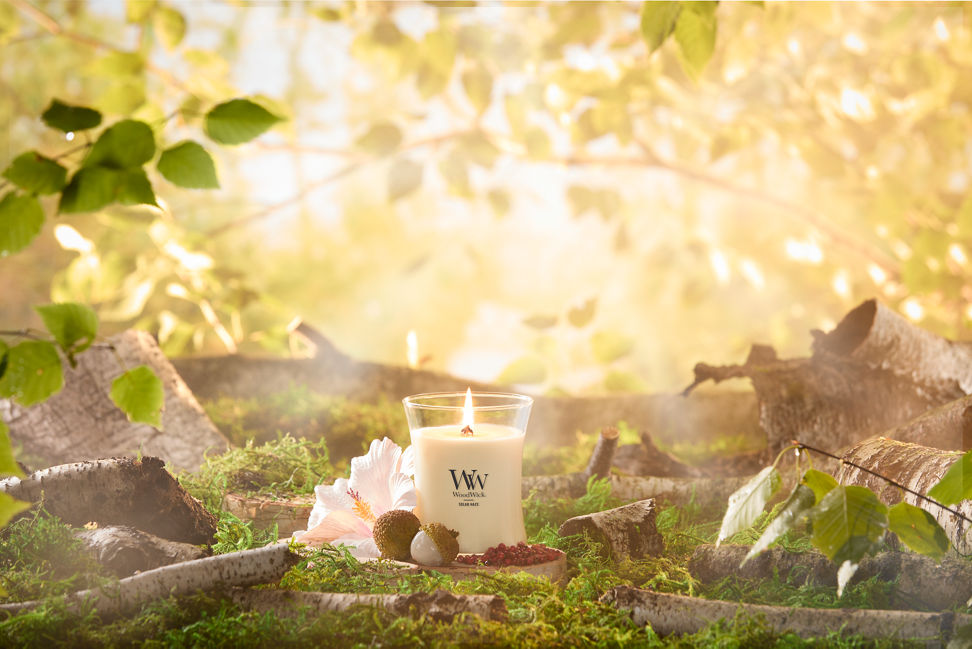 WoodWick Vapour Trails Collection Solar Haze Medium Hourglass Candle on a tree stump with fruit and a flower surrounded by tree branches and moss in a forest setting