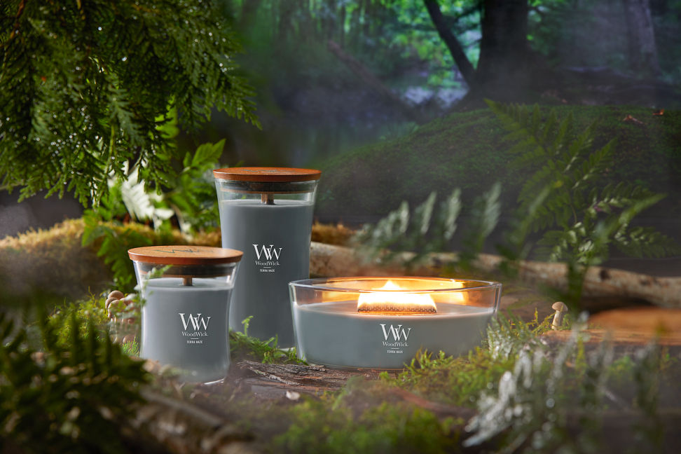 WoodWick Vapour Trails Collection Terra Haze Medium Hourglass Candle, Terra Haze Large Hourglass Candle, and Terra Haze Ellipse Candle surrounded by leaves, mushrooms, and tree branches in a forest setting