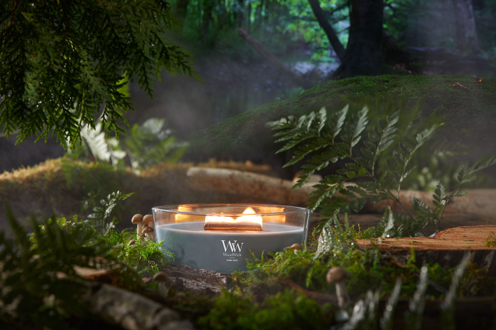 WoodWick Vapour Trails Collection Terra Haze Ellipse Candle in a forest setting surrounded by trees, leaves, and mushrooms