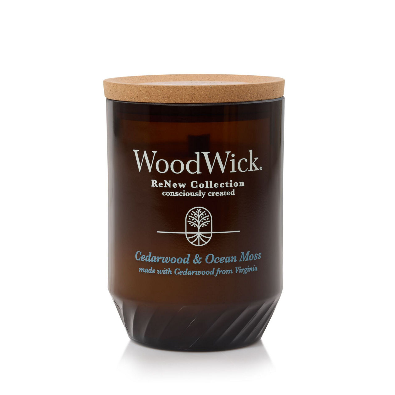 Cedarwood & Ocean Moss
