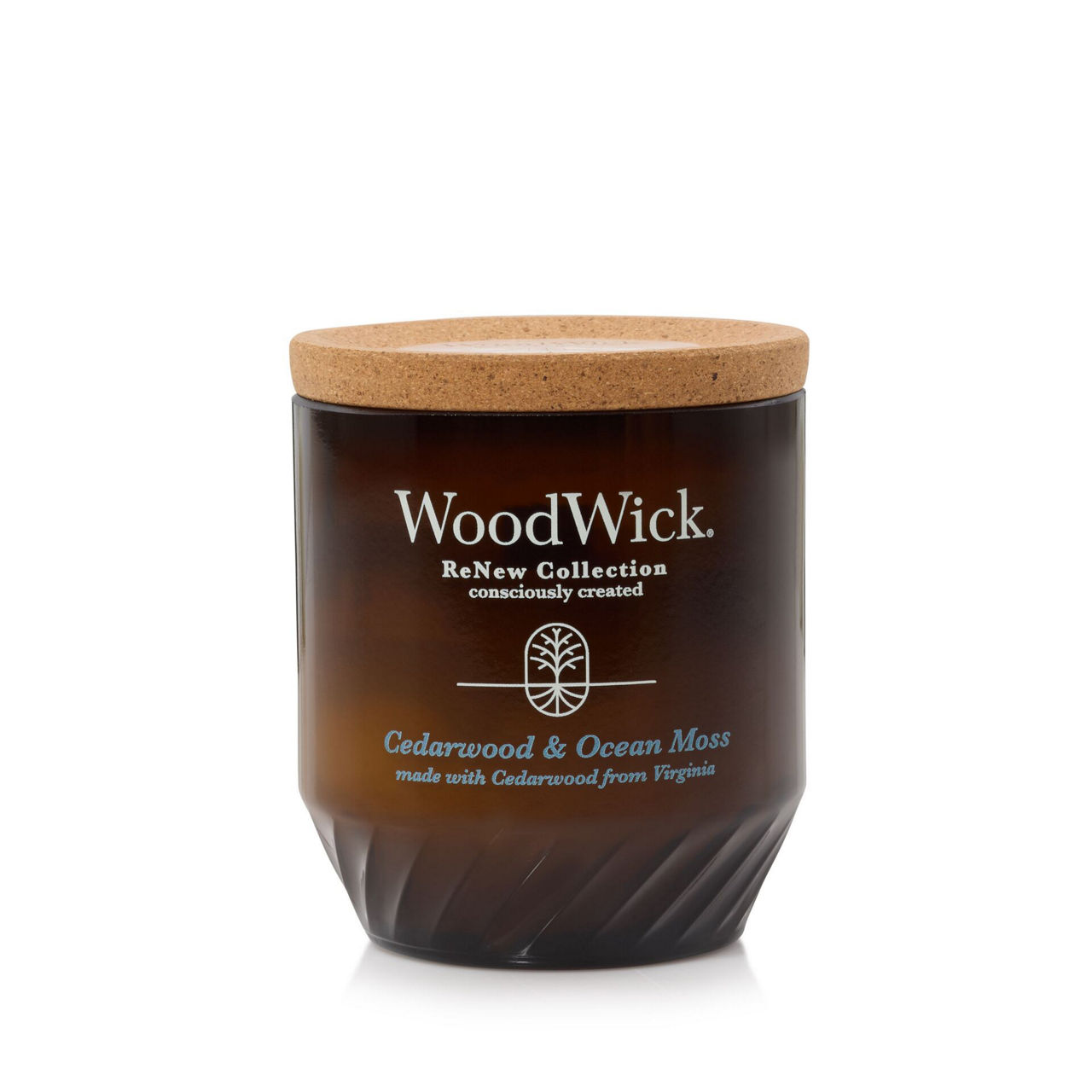 Cedarwood & Ocean Moss