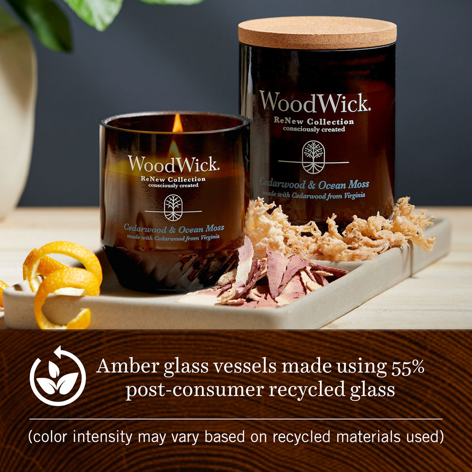 Two cedarwood and ocean moss woodwick renew candles on a tray with wood shavings and dried moss
