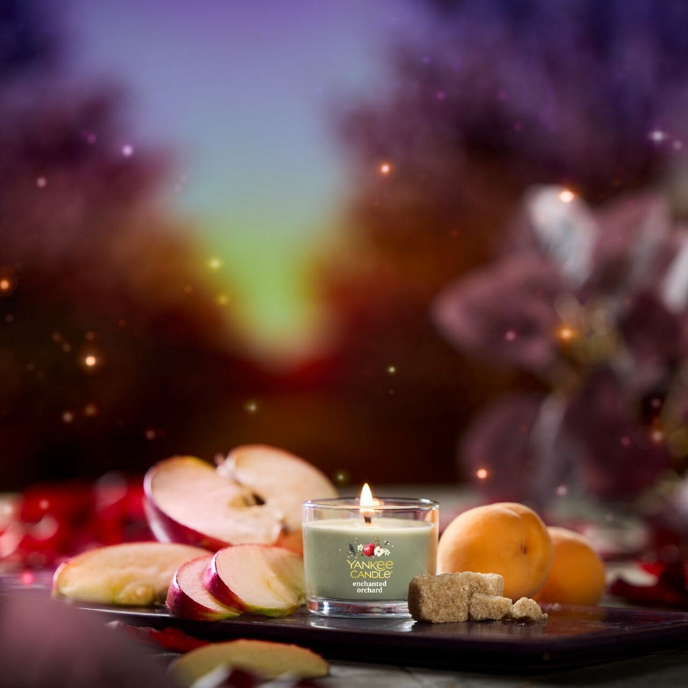 Scented candle with fresh apple and apricot, glowing flame, sugar cubes, cozy home decor, relaxing ambiance